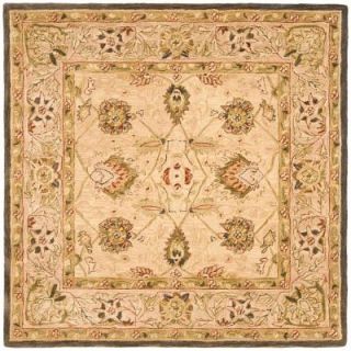 Safavieh Anatolia Ivory/Beige 6 ft. x 6 ft. Square Area Rug AN512A 6SQ