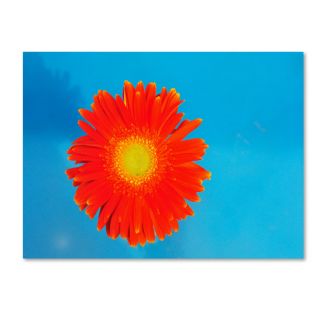 Orange and Blue by Kurt Shaffer Photographic Print on Canvas