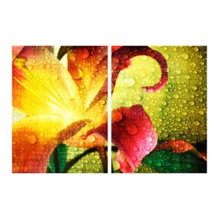 Alexis Bueno Tropical Hibiscus Canvas Wall Art (2 pieces)   15519528