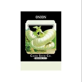 Onion Print (Canvas Giclee 12x18)