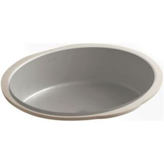 KOHLER Verticyl Oval Vitreous China Undermount Bathroom Sink in Cashmere with Overflow Drain K 2881 K4