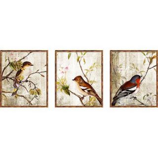 Feathered Friends, Set of 3