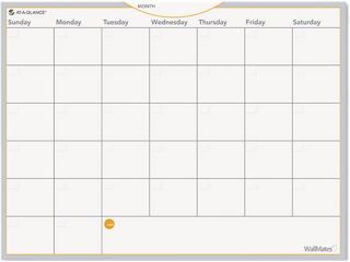 Dry Erase Planning Surface, Monthly, 18"Hx24"W, White AAGAW502028