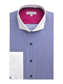 Alexandre of England Stripe Tailored Long Sleeve Cutaway Collar Shirt Royal Blue