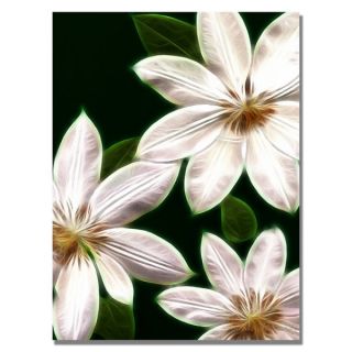 Kathie McCurdy White Clematis Canvas Art