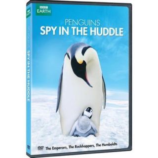 Penguins   Spy In The Huddle (Widescreen)