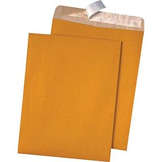 Quality Park Products Redi Strip 10 x 13 Recycled Brown 28 lbs. Catalog Envelopes, 100/Box