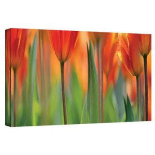 ArtWall 'Orange Tulip' by Cora Niele Gallery Wrapped on Canvas