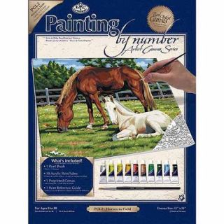 Royal Brush Paint By Number Kits, 11" x 14"
