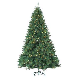 Ft. Pre Lit Wisconsin Spruce Christmas Tree  Clear Lights