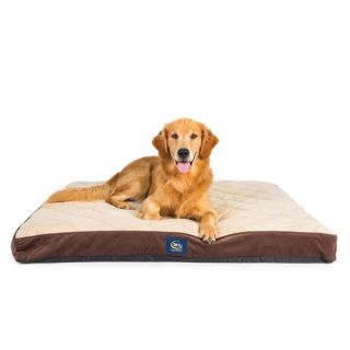 Serta Orthopedic Quilted Pillowtop Pet Bed   17685629  