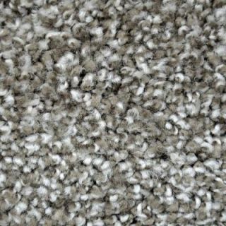 LifeProof Carpet Sample   Refined Manner II   Color Valencia Texture 8 in. x 8 in. EF 298592945