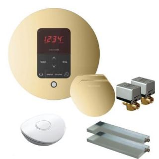 Mr. Steam MS Butler 2 Package with iTempo Pro Round Programmable Control for Steam Bath Generator in Polished Brass MSBUTLER2RD PB