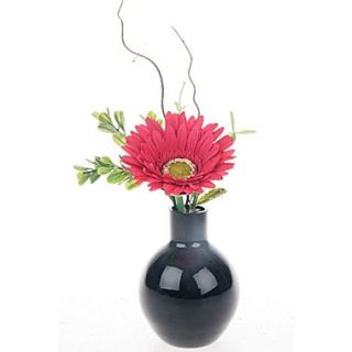 Red Vanilla Gerbera 6.75 x 5 Flower Arrangement (Set of 2)