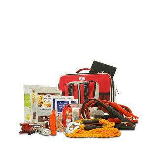 Wise Company Deluxe All in One Automobile Emergency Kit   7634856
