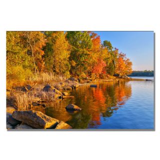 CATeyes Early Morning Canvas Art   17533614   Shopping
