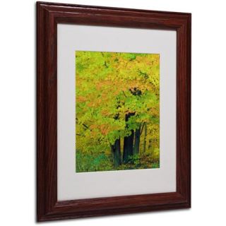 Trademark Fine Art "Forest Beauty" Canvas Art by Kathie McCurdy, Wood Frame