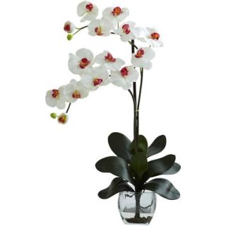 Nearly Natural Double Phalaenopsis Orchid with Vase Arrangement, White