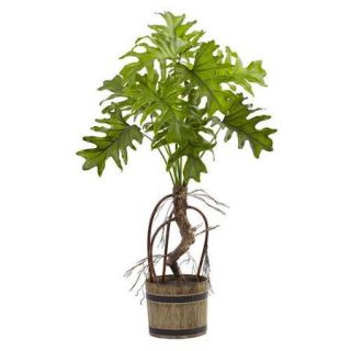 Nearly Natural Split Philo Plant in Bucket Planter