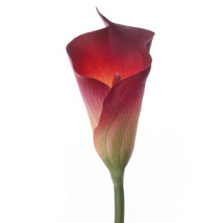 Distinctive Designs DIY Flower Artificial Calla Lily Stem (Set of 24)