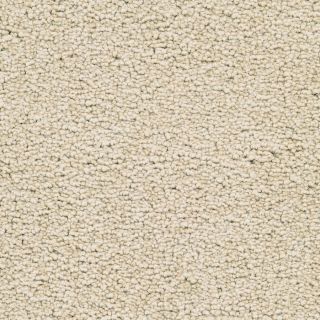 STAINMASTER Active Family Stellar Delicate Textured Indoor Carpet