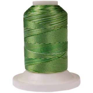 Rayon Super Strength Thread Variegated Colors 700 Yards 3Cc Light Green