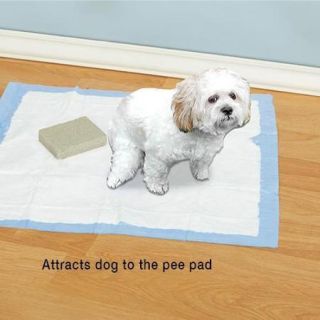 "Here Doggie" Pet Indoor Pet Training Pee Rock