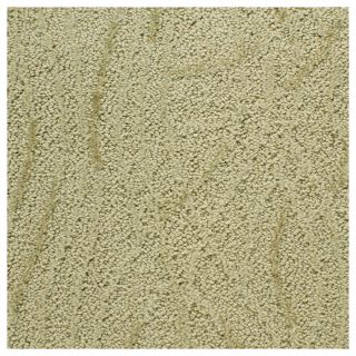 STAINMASTER Active Family Lemaquis Buck Cut and Loop Indoor Carpet