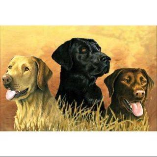 Paint By Number Artist's Collection 12"X16" Labs In Marsh