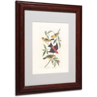 Trademark Fine Art "Louisiana Tanager" Canvas Art by John James Audubon, Wood Frame