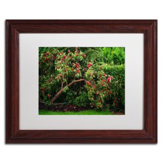 Philippe Sainte Laudy The Apple Tree White Matte, Wood Framed Wall