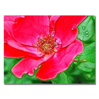 Trademark Art Red Rose by Kathie McCurdy Painting Print on Wrapped