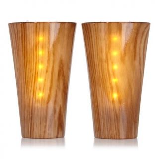 It's Exciting Lighting 2 pack Battery Powered LED Wall Sconces   7634849