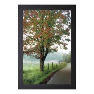 D. Burt 'Almost Autumn' Framed Artwork