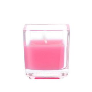 Zest Candle 2 in. Hot Pink Square Glass Votive Candles (12 Box) CVZ 035