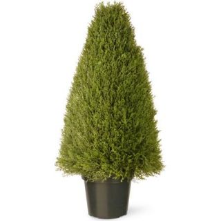 National Tree 36" Upright Juniper with Green Pot