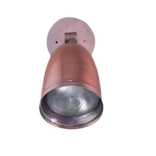 Illumine 12 in. 1 Light Matte Bronze Outdoor Lantern CLI SPJ50 05 MBR