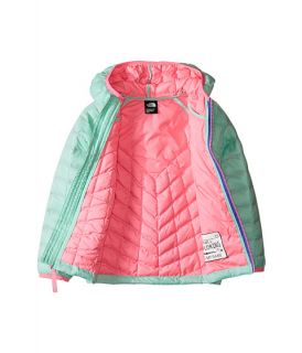 The North Face Kids Thermoball Hoodie Toddler Surf Green, Clothing, Green, The North