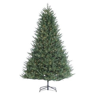 Sterling Pre Lit Fir Artificial Christmas Tree with Lights   Clear