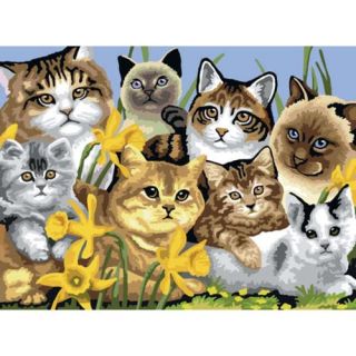Junior Large Paint By Number Kit 15 1/4" X 11 1/4" Cats Montage