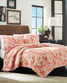 Tommy Bahama Home Orchid Retreat Quilt Collection   Quilts
