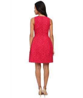 Calvin Klein Lace Fit & Flare Dress Winter Rose