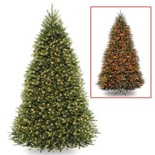 9' Dunhill Fir Hinged Tree with 900 Low Voltage Dual LED Lights with 9 Function Footswitch    National Tree Company